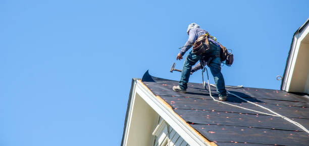 Best Roof Gutter Cleaning  in Oregon, OH